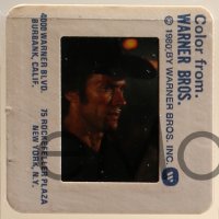 1x487 ANY WHICH WAY YOU CAN group of 42 35mm slides 1980 Clint Eastwood & Clyde the orangutan!