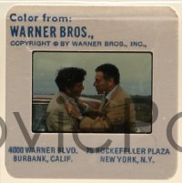 1x571 IN-LAWS group of 20 35mm slides 1979 Peter Falk, Alan Arkin, Richard Libertini, Dussault