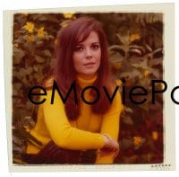 1x417 BOB & CAROL & TED & ALICE group of 4 3x3 transparencies 1969 portraits of sexy Natalie Wood!