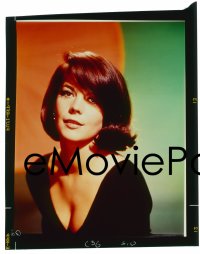 1x415 NATALIE WOOD group of 6 3x3 transparencies 1980s wonderful portraits of the beautiful star!