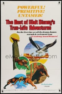 1y088 BEST OF WALT DISNEY'S TRUE-LIFE ADVENTURES 1sh 1975 powerful, primitive, cool animal art!