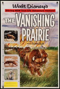 1y931 VANISHING PRAIRIE style A 1sh 1954 Walt Disney True-Life Adventure, art of stampeding buffalo!
