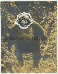 2a461 INGAGI deluxe 7.75x9.75 still 1931 wonderful image of the fearsome giant ape, rare!