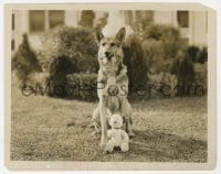 2a755 RIN-TIN-TIN 8x10.25 still 1920s the great dog star sitting by his own toy stuffed dog!
