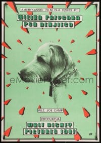 2c378 BENJI THE HUNTED Polish 27x38 1989 Skorwider art of classic Disney Border Terrier!