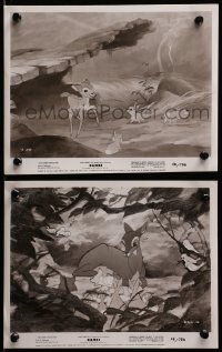 2d888 BAMBI 2 8x10 stills R1948 Walt Disney cartoon deer classic, great different images!