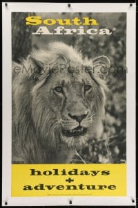 2j191 SOUTH AFRICA linen 25x40 South African travel poster 1950 great photo of lion by Satour!