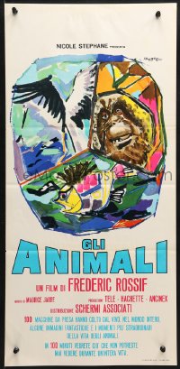 2t822 ANIMALS Italian locandina 1964 cool Manfredo artwork montage of jungle animals!