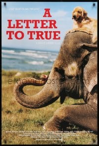 2w519 LETTER TO TRUE 24x36 special poster 2004 Bruce Weber, cool image of dog sitting on elephant!