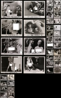 2y500 LOT OF 40 SEXPLOITATION MOVIE 8X10 STILLS 1960s-1970s great images with lots of nudity!