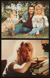 2z062 BEST FRIENDS 10 color 8x10 to 20x30 stills 1982 Goldie Hawn & Burt Reynolds!