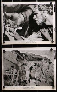 3a081 AGONY & THE ECSTASY 50 8x10 stills 1965 Heston as Michelangelo, Rex Harrison, MANY images!