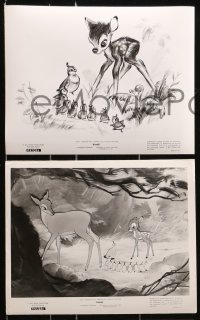 3a434 BAMBI 8 8x10 stills R1957 Walt Disney, great images from animated cartoon deer classic!