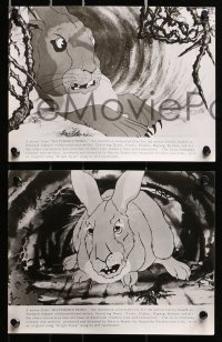 3a211 WATERSHIP DOWN 15 8x10 stills 1978 based on Richard Adams' best seller, cartoon rabbits!