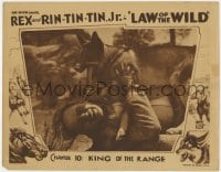 3b496 LAW OF THE WILD chapter 10 LC 1934 c/u of snarling Rin Tin Tin Jr. pinning man to the ground!