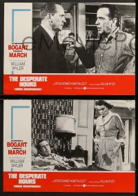 3c027 DESPERATE HOURS 8 Spanish LCs R1980s Humphrey Bogart, Fredric March, William Wyler!