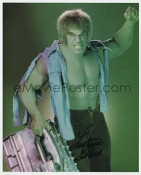 3d904 LOU FERRIGNO signed color deluxe 8x10 REPRO still 2001 best portrait as The Incredible Hulk!