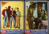 3f991 DESPERATE HOURS group of 11 Italian 19x27 pbustas 1956 Humphrey Bogart, March, Scott, Wyler!