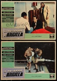 3f997 HARDER THEY FALL group of 5 Italian 13x19 pbustas 1958 Humphrey Bogart, different boxing!