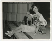 3h609 MARSHA HUNT deluxe 8x10 still 1944 portrait with her two pet Bedlington terrier dogs!