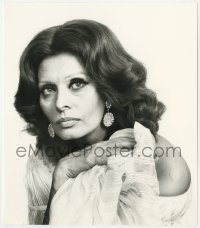 3h830 SOPHIA LOREN English 7x9.25 news photo 1981 portrait of her serious side by Yousuf Karsh!