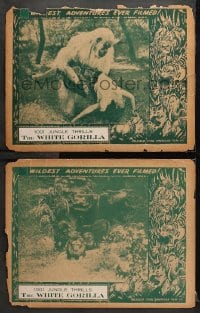 3k993 WHITE GORILLA 2 LCs R1940s cool animal images and wacky gorilla, great border art!