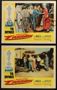 3k151 ESCAPE FROM ZAHRAIN 8 LCs 1962 Yul Brynner, Sal Mineo, Jack Warden, desert thriller!