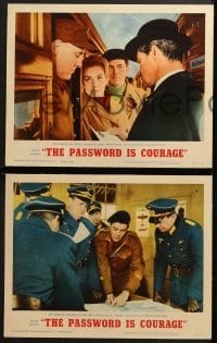 3k331 PASSWORD IS COURAGE 8 LCs 1963 Dirk Bogarde in an English version of The Great Escape!
