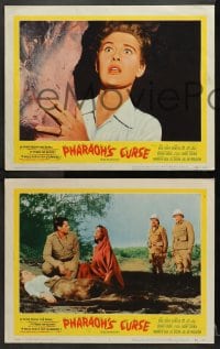 3k746 PHARAOH'S CURSE 3 LCs 1956 a blood-sucking mummy & a seductive cat-goddess, cool horror images!