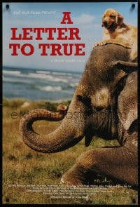 3r538 LETTER TO TRUE 24x36 special poster 2004 Bruce Weber, cool image of dog sitting on elephant!