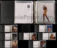 3s035 LOT OF 100 RAQUEL WELCH COLOR AND BLACK & WHITE 8X10 REPRO PHOTOS IN A BINDER 1990s sexy!