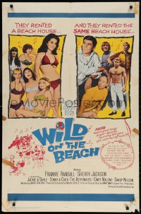 3t967 WILD ON THE BEACH 1sh 1965 Frankie Randall, Sherry Jackson, Sonny & Cher, teen rock & roll!