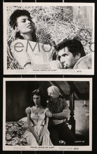 3x197 DESIRE UNDER THE ELMS 25 8x10 stills 1958 Burl Ives, sexy Sophia Loren & Perkins!