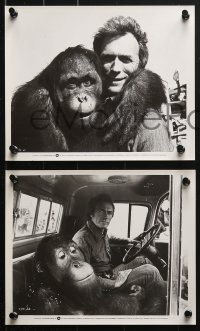 3x167 EVERY WHICH WAY BUT LOOSE 35 8x10 stills 1978 Eastwood & Clyde the orangutan, lots of images!