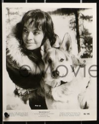3x362 MOONWOLF 13 8x10 stills 1966 Zuruck aus dem Weltall, heroic German Shepherd astro-dog!