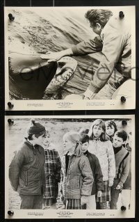 3x289 NAMU THE KILLER WHALE 17 8x10 stills 1966 Meriwether, Lansing, great killer whale images!