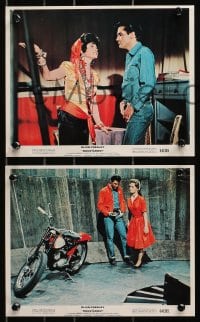 3x136 ROUSTABOUT 3 color 8x10 stills 1964 Elvis Presley in leather jacket & at carnival!
