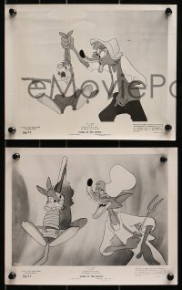 3x900 SONG OF THE SOUTH 3 8x10 stills R1956 Walt Disney cartoon, Br'er Fox & Br'er Bear!