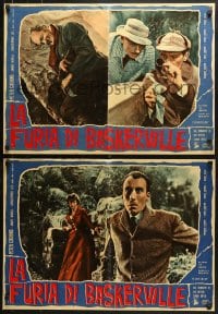 3y994 HOUND OF THE BASKERVILLES group of 10 Italian 19x27 pbustas 1959 Hammer, Cushing as Sherlock!