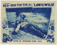 4a591 LAW OF THE WILD chapter 11 LC 1934 Rin Tin Tin Jr. with unconscious master, Winner Take All!