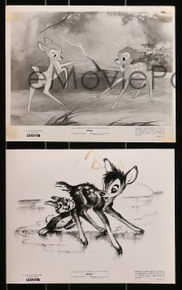 4m742 BAMBI 6 8x10 stills R1957 Walt Disney, great images from animated cartoon deer classic!