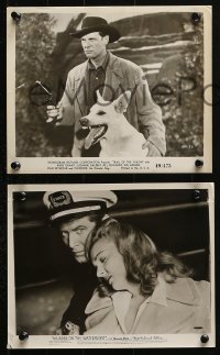 4m859 BILL EDWARDS 4 8x10 stills 1940s-1950s cool portraits of the star from a variety of roles!