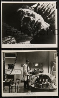 4m443 CURSE OF THE FLY 13 8x10 stills 1965 Donlevy, English sci-fi sequel, includes monster images!