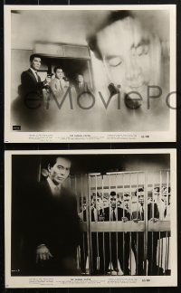 4m572 HUMAN VAPOR 10 8x10 stills 1962 Toho sci-fi, Ishiro Honda, cool special effects scenes!