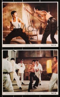 4m100 RETURN OF THE DRAGON 7 8x10 mini LCs 1974 Bruce Lee classic, in peril and kung fu fighting!