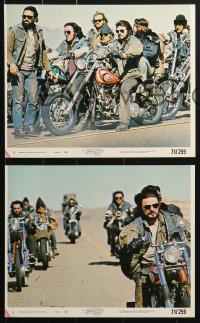 4m085 WEREWOLVES ON WHEELS 8 8x10 mini LCs 1971 great images of bikers on Harley-Davidson bikes!