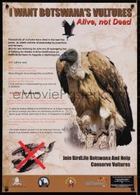 4r325 I WANT BOTSWANA'S VULTURES ALIVE, NOT DEAD 17x24 Botswanan special poster 2000s great images!