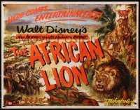 4y696 AFRICAN LION 1/2sh 1955 Walt Disney jungle safari documentary, cool wildlife animal images!