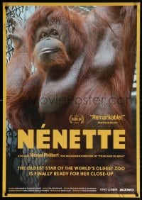 4z800 NENETTE 27x39 1sh 2010 cool image of orangutan, oldest star of the world's oldest zoo!