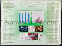 5c277 ANTI-BACTERIAL & ANTI-FUNGAL ACTION OF GRAPEFRUIT SEED EXTRACT 36x48 special poster 1990s